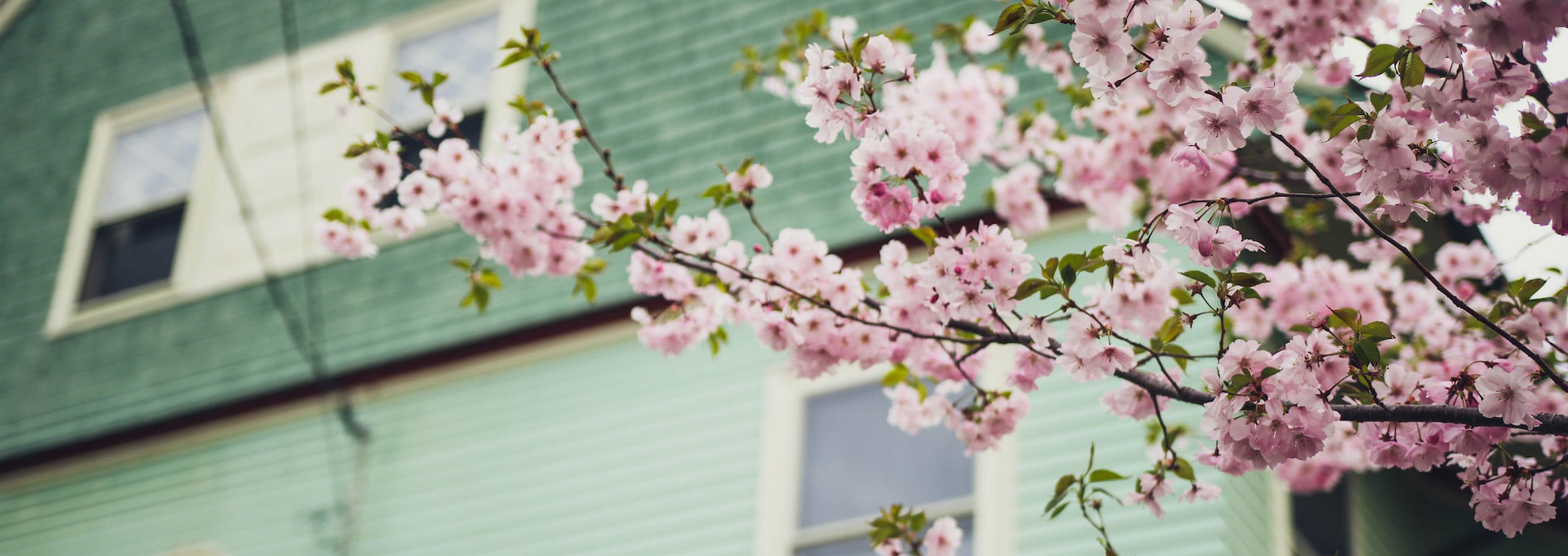 Einrichten im Frühling